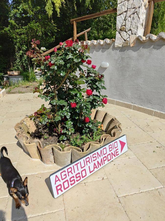 Agriturismo Rosso Lampone Cerreto Laziale Eksteriør bilde